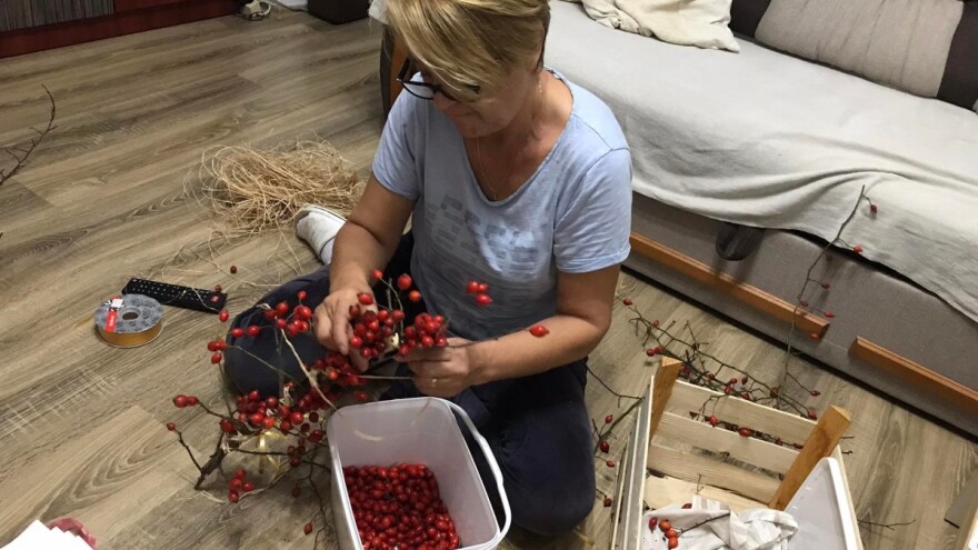 Cijela porodica zaljubljena u šipak, promijenio im je život na pozitivno