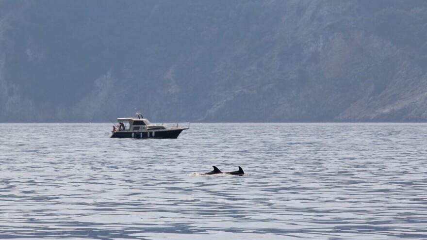 Opća komisija za ribarstvo na Sredozemlju odlučila - Jabučka kotlina trajno zaštićena