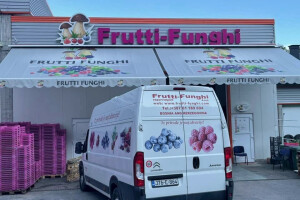 Frutti Funghi poziva na potpisivanje ugovora za otkup maline, kupine i drugog voća