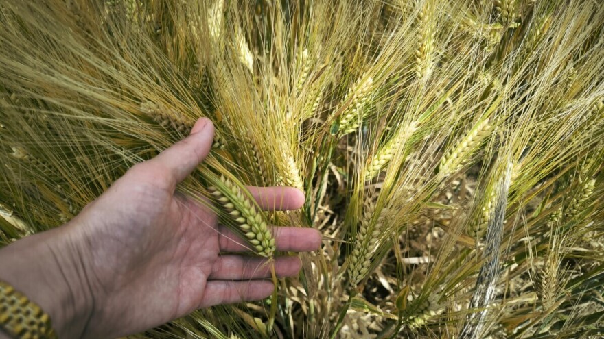 Objavljen je natječaj za provedbu intervencije 76.01, na raspolaganju 13 milijuna eura