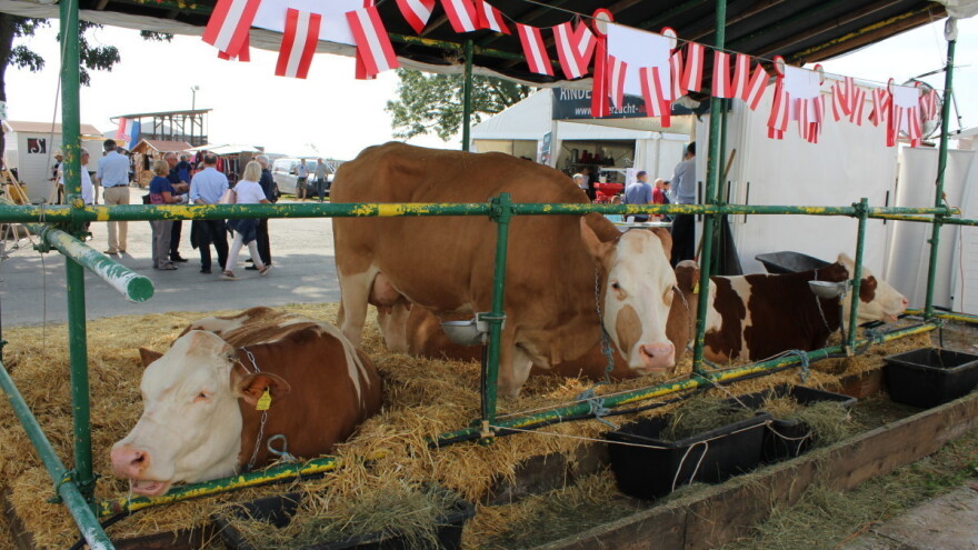 28. Jesenji međunarodni bjelovarski sajam u septembru - uživo