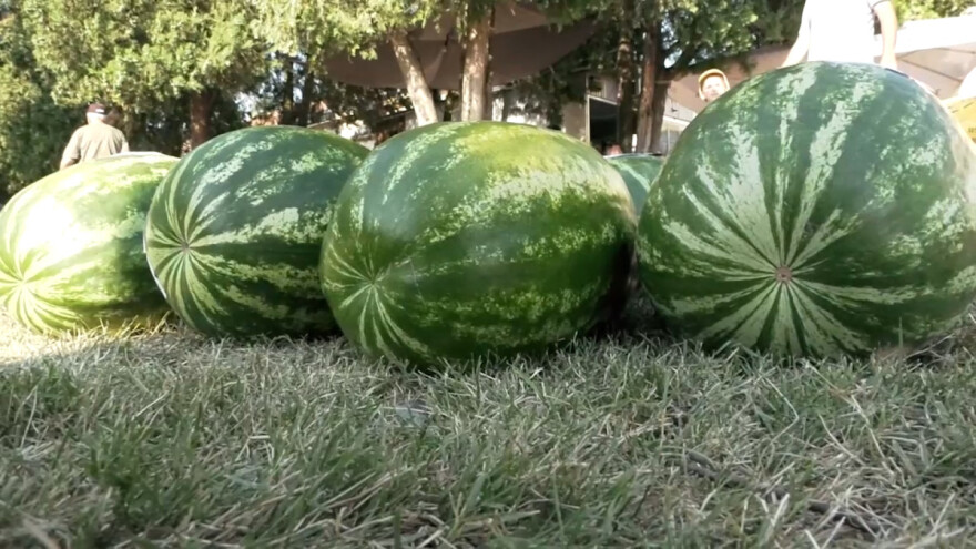 Sezona bostana se bliži kraju