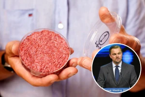 Leonardo DiCaprio ulaže u proizvodnju mesa iz laboratorija
