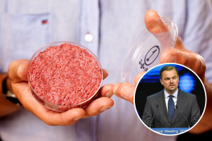 Leonardo DiCaprio ulaže u proizvodnju mesa iz laboratorija
