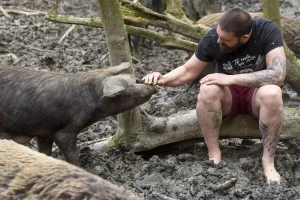 Nikola Borić prodaje Shumsku farmu - odlazi iz "usranog sistema represije"