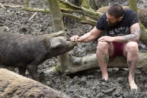 Nikola Borić prodaje Shumsku farmu - odlazi iz "usranog sistema represije"