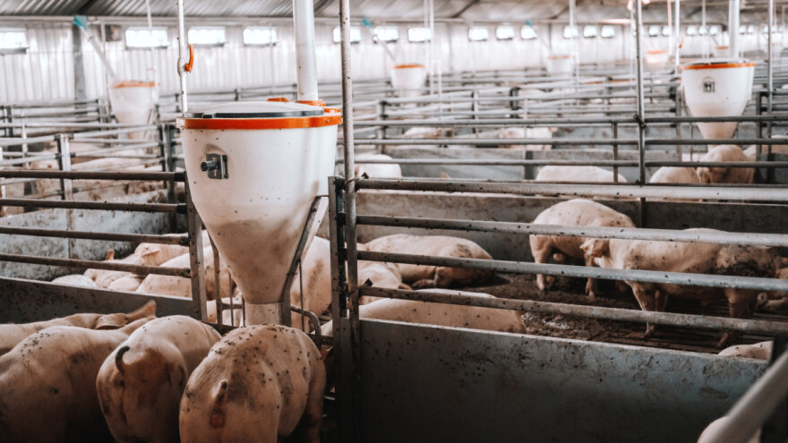 Čekate natječaje za podmjeru 4.1.? Nacrti za tri tipa operacija su u javnom savjetovanju