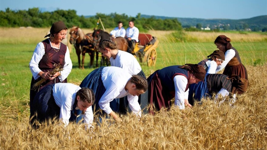 Prijavite se za 13. Sinjski sajam sela