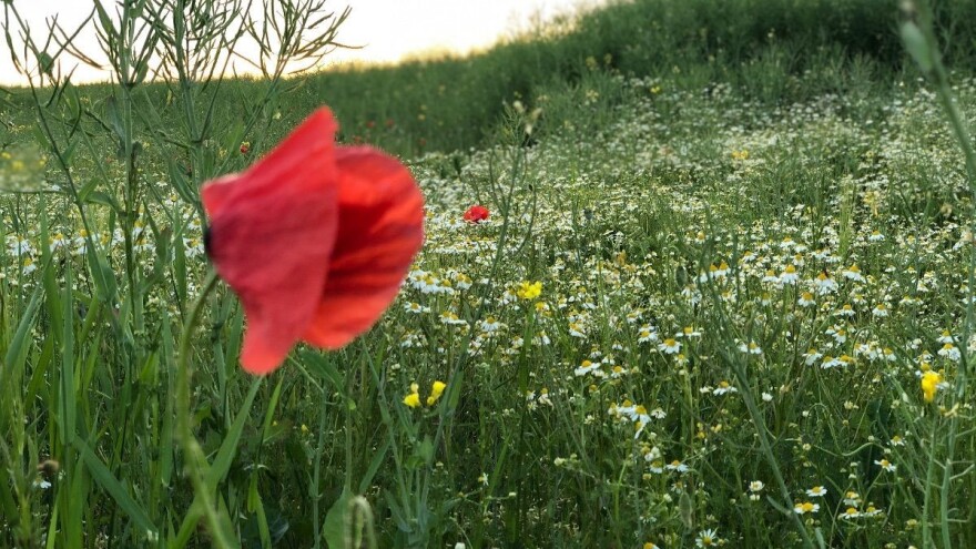 U javnom savjetovanju i Nacrt Natječaja za provedbu tipa operacije 4.4.1.