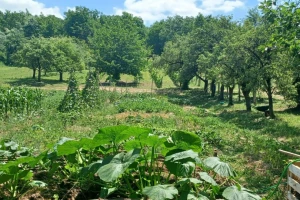 Zanima vas biodinamička poljoprivreda? Prijavite se na radionicu