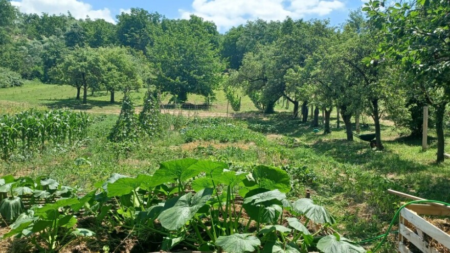 Zanima vas biodinamička poljoprivreda? Prijavite se na radionicu