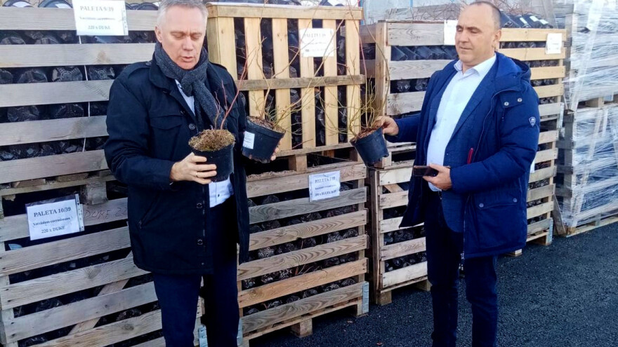 Isplaćeno 1.685.788 KM za podsticaje, a u Srpcu podijeljene sadnice borovnica