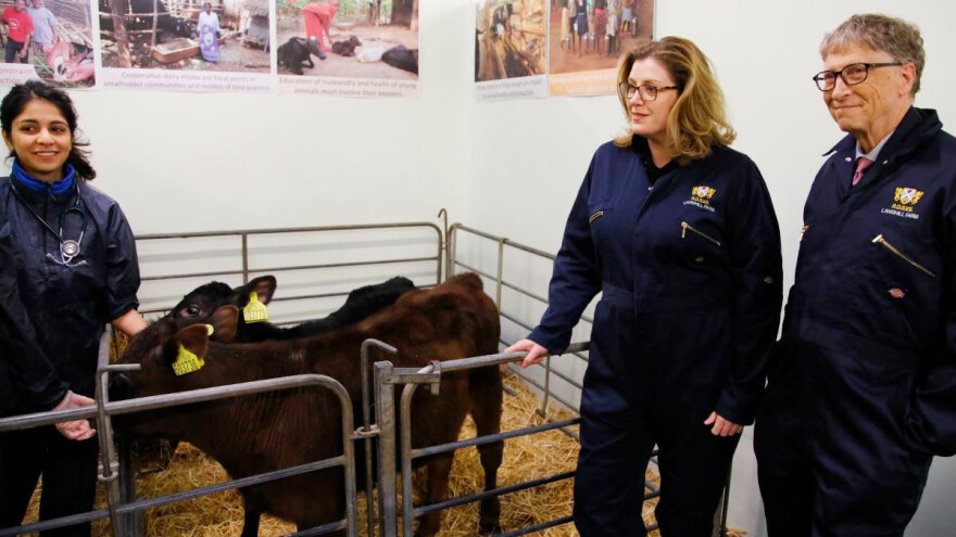 Bill Gates promiče konzumaciju sintetičke govedine i biljnih proteina