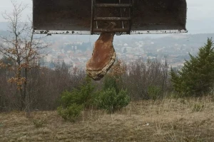 Umjesto na sušenju zbog visokih temperatura pršuti završili na deponiju?