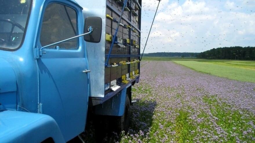 Kamioni za prijevoz pčela registrovat će se samo jednom u RS