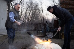 Viktor Orbán na svinjokolji skuplja bodove za izbore?