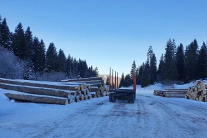 Novih 900.000 KM za modernizaciju i ekološku tranziciju "Sarajevo - šuma"