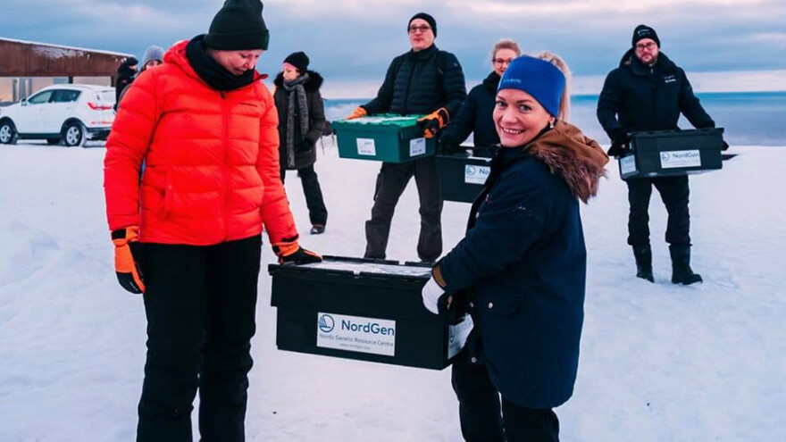 Globalni trezor semena primio nova - čuva ga od rata, bolesti i drugih katastrofa