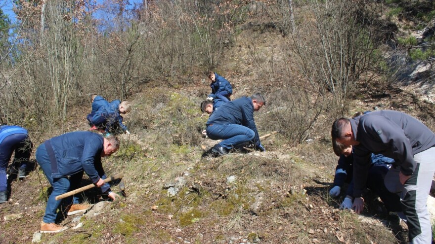 Mladost Konjica obavila pošumljavanje parka Vrtaljica - zalog za budućnost