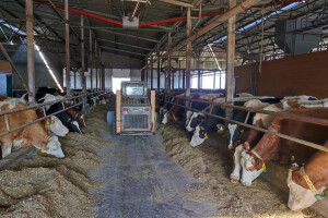 Najsavremenija farma krava u Srbiji posluje sa gubitkom?