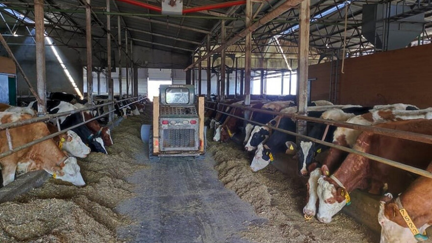Najsavremenija farma krava u Srbiji posluje sa gubitkom?