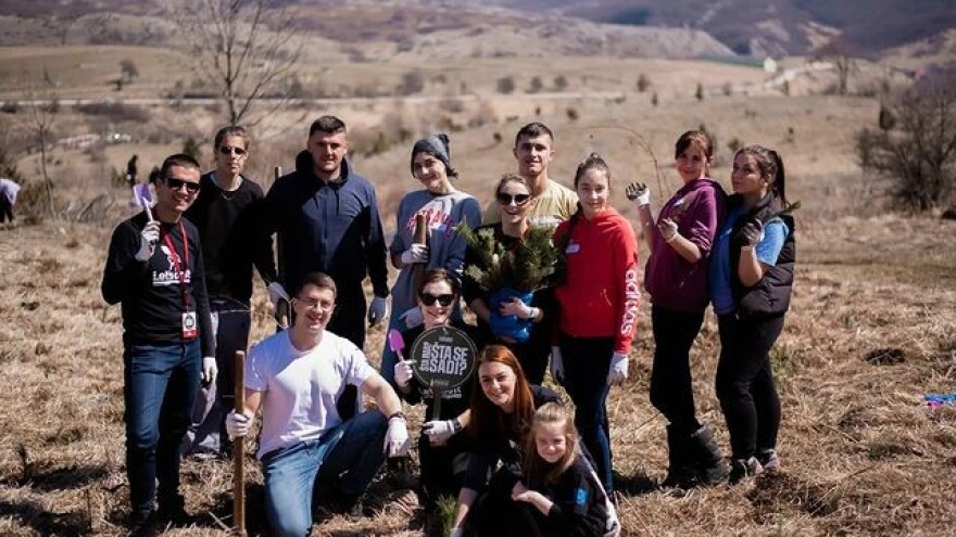 U akciji pošumljavanja na Bjelašnici zasađeno 1.000 sadnica bijelog bora