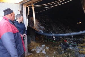 Vatra progutala farmu - izgorjelo više od 10.000 pilića