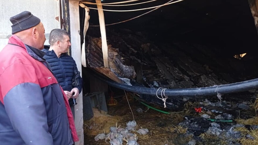 Vatra progutala farmu - izgorjelo više od 10.000 pilića