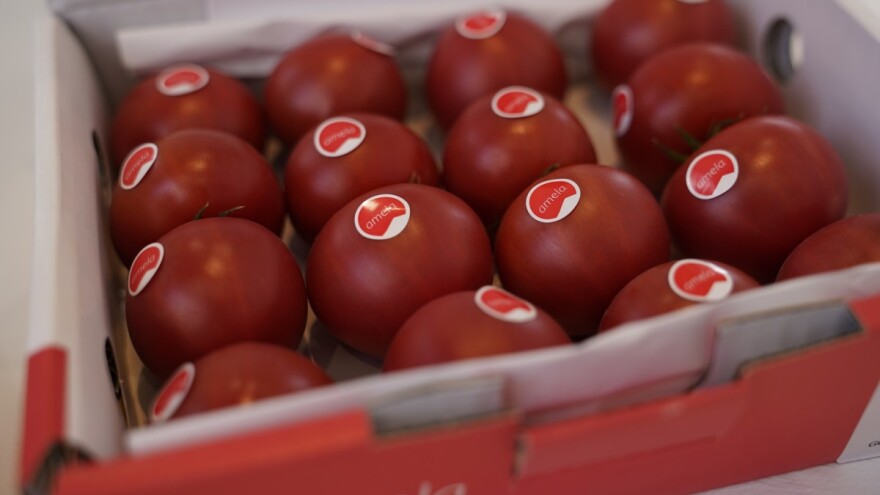 Rajčica Amela osvojila zlatnu medalju za najbolju inovaciju na sajmu Fruit Logistica