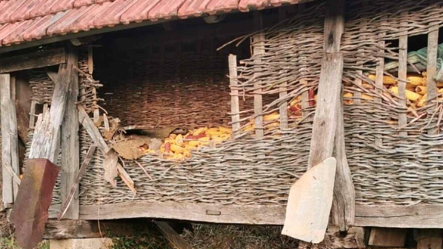 Grmečki medvjed se probudio gladan - razvalio hambar u Slatini