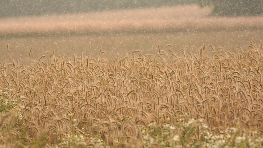 Temperatura će padati i do 20°C, grmljavinske nepogode prijete
