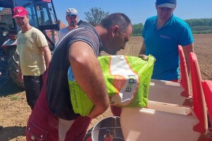 Posijan ogledni kukuruz u Šamcu - 60 hibrida na 3,5 hektara