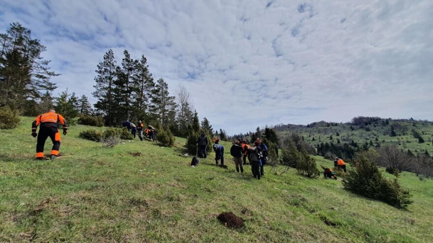 Evropsko takmičenje šumara početkom februara na Igmanu