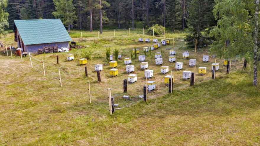 Pčelari dobili električne ograde za zaštitu košnica od medvjeda