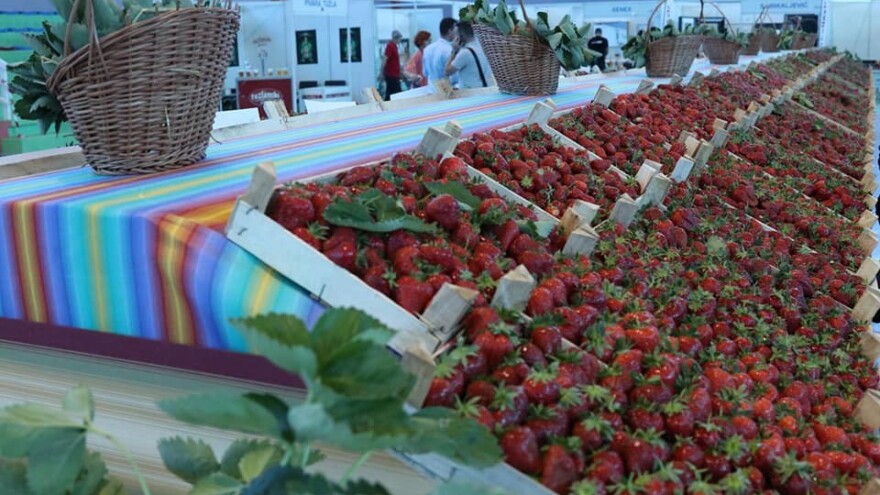 Nakon 12 godina čelićka jagoda ponovo dobila svoj sajam