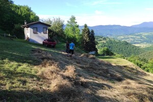 Napušteno, ne mora biti zapušteno - uređuju ognjišta porodica koje iseljavaju