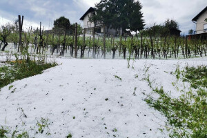 Strahovito nevrijeme u susjedstvu - grad poharao Zagorje, uništeni usjevi i nasadi