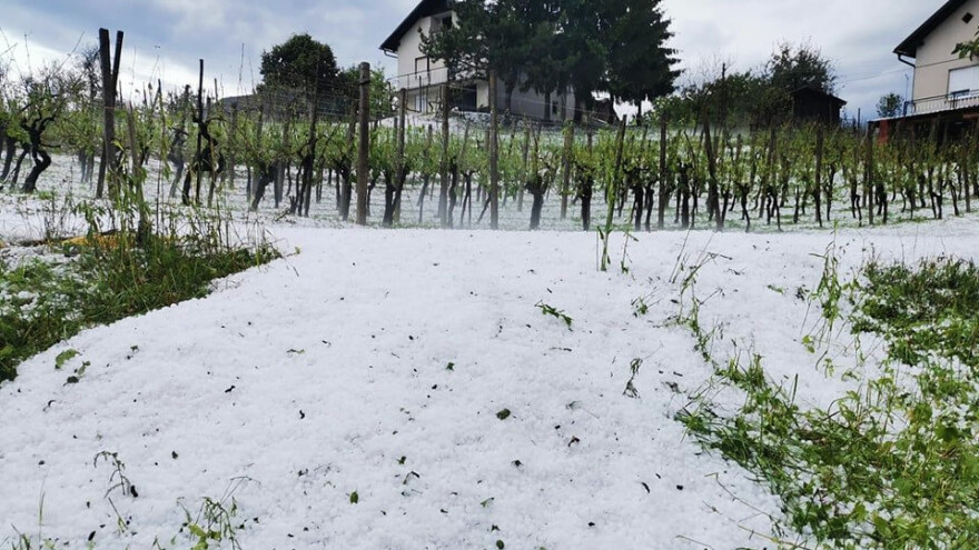Strahovito nevrijeme u susjedstvu - grad poharao Zagorje, uništeni usjevi i nasadi