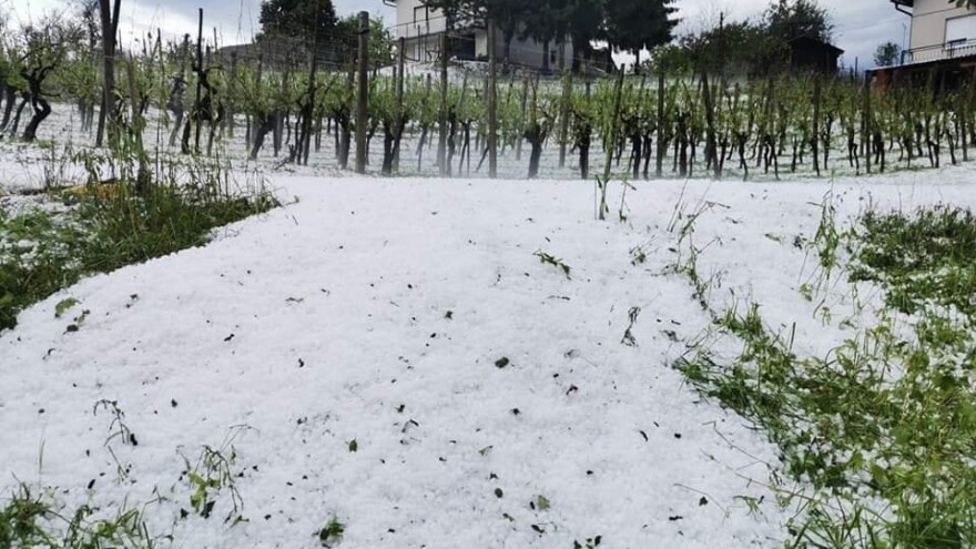 Strahovita tuča poharala Zagorje, usjevi i nasadi potpuno uništeni - Vlada obećala žurnu pomoć