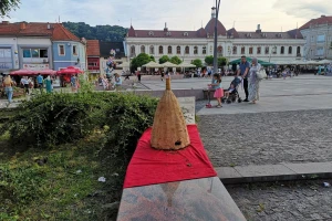 Kako ukloniti roj pčela - košnica u centru grada izazvala pometnju?