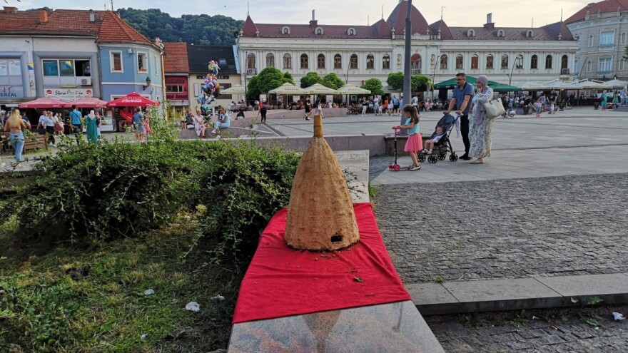 Kako ukloniti roj pčela - košnica u centru grada izazvala pometnju?