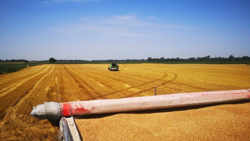 Na vakufskim parcelama, požnjeveno 47 tona pšenice