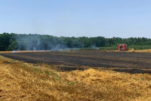 Ponovo požar za vrijeme kombajniranja - izgorjele rolo bale slame
