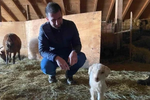 Kanton Sarajevo mijenja regulativu o poljoprivrednim poticajima