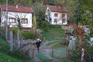 Fantastična zimnica iz organske bašte Slavice Petrušić