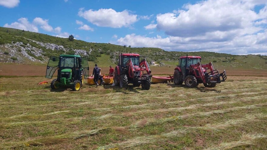 Savremena tehnologija u ruralnom području - GPS na govedima, kamere u štalama