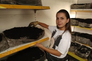 Mlada Ana Zeko ima velike planove - sama proizvodi šampinjone
