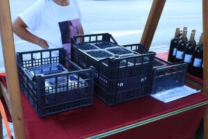 Suša uticala na rod i kvalitet šumske borovnice