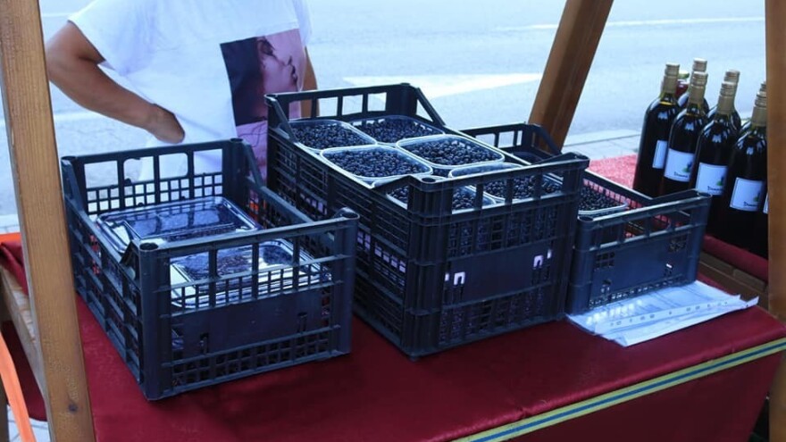 Suša uticala na rod i kvalitet šumske borovnice