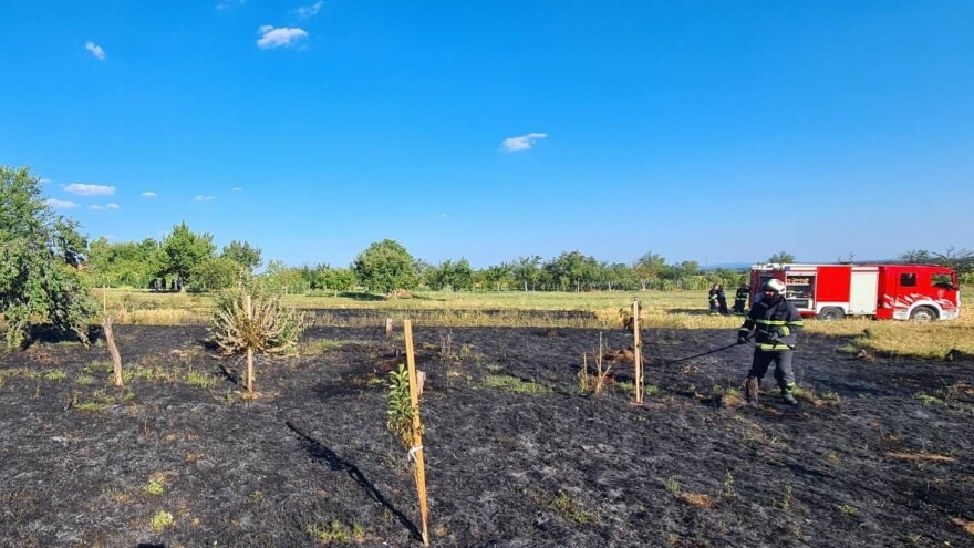 Opožaren još jedan voćnjak, uzrok je iznova nepažnja
